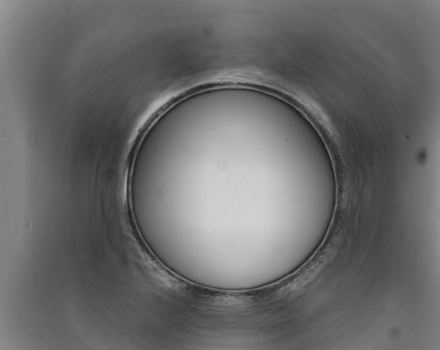 X0000091521224200708171003
