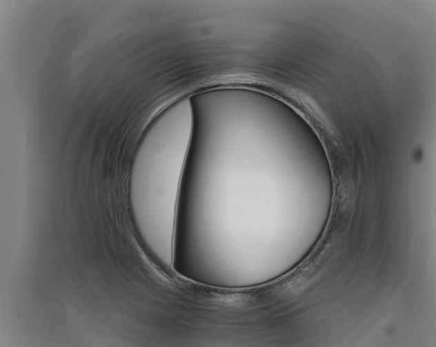 X0000091521225200708171003