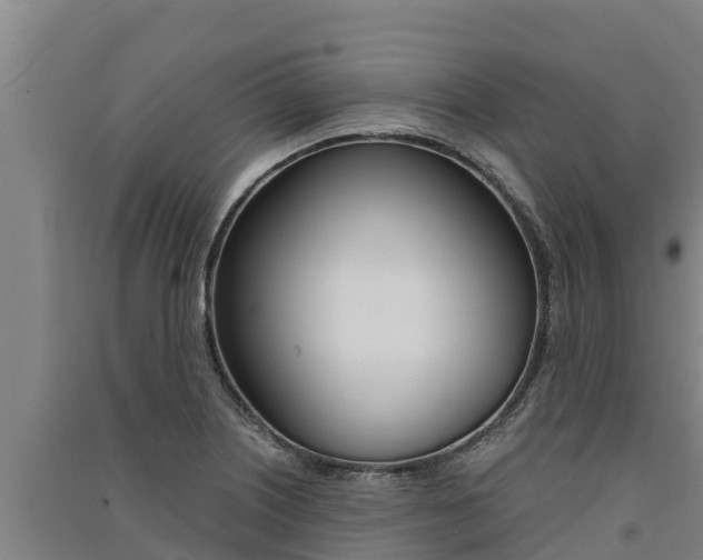 X0000091521226200708171003