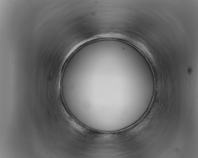X0000091521228200708171003