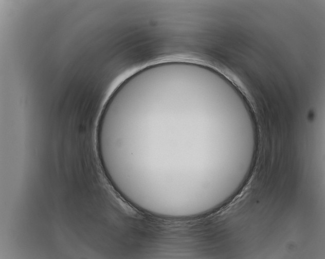 X0000091521230200708171003