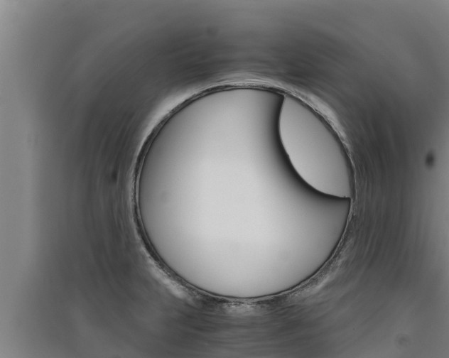 X0000091521231200708171003