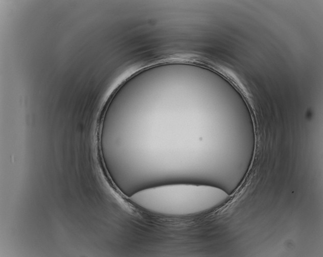 X0000091521235200708171003