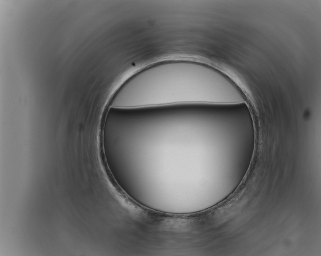 X0000091521237200708171003