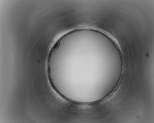 X0000091521239200708171003