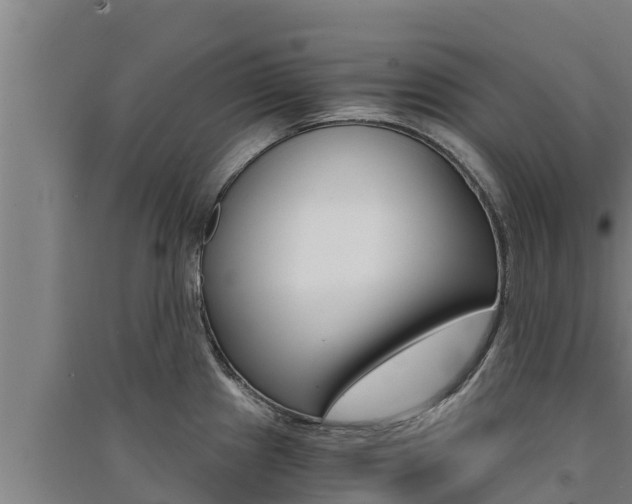 X0000091521241200708171003