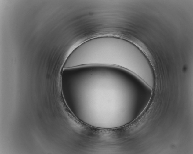 X0000091521242200708171003