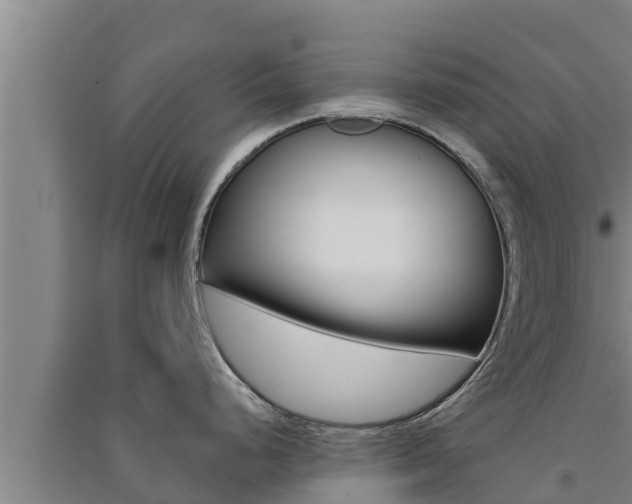 X0000091521248200708171003