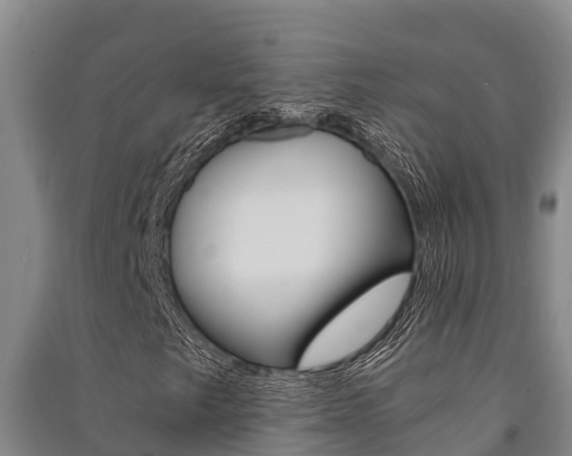 X0000091521249200708171002