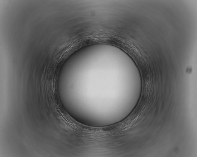 X0000091521250200708171002