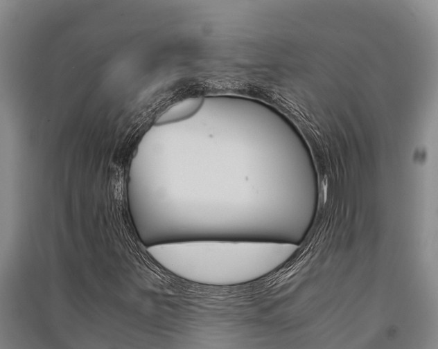 X0000091521251200708171002