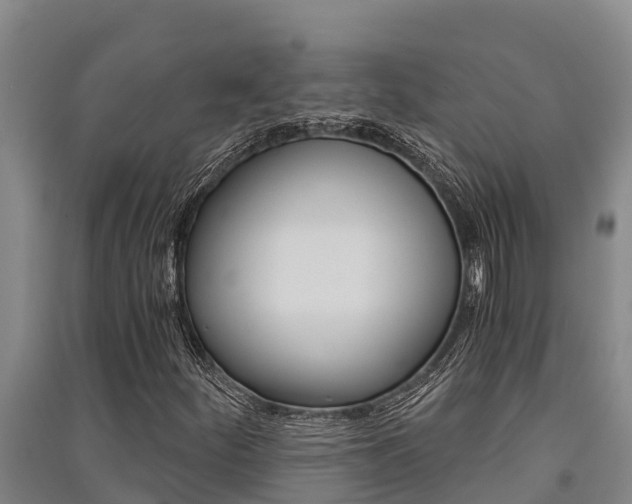 X0000091521252200708171002