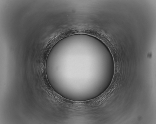 X0000091521253200708171002