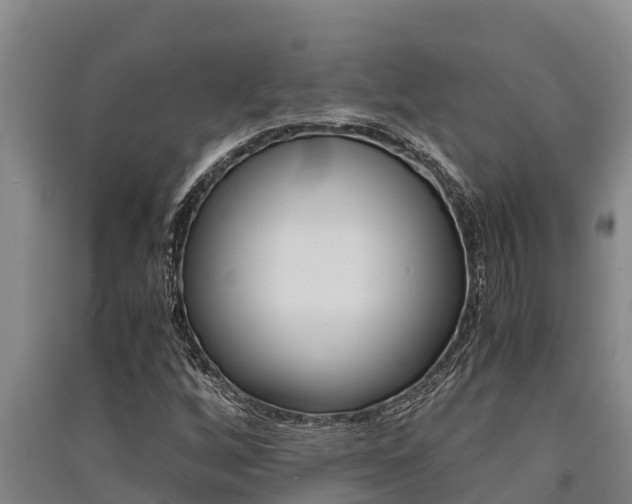 X0000091521256200708171002