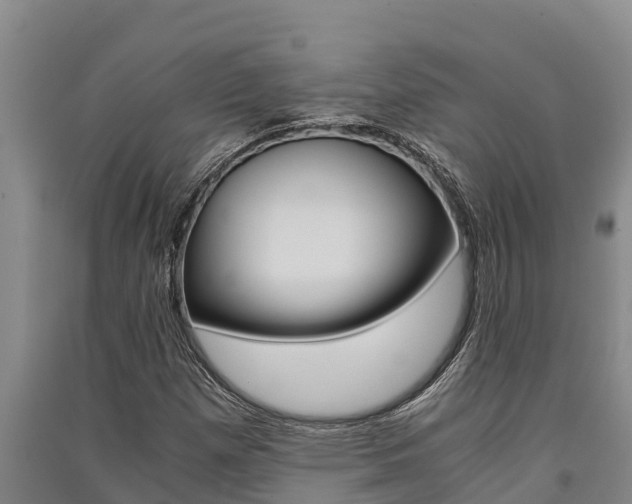 X0000091521257200708171002
