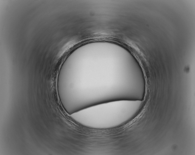 X0000091521259200708171002