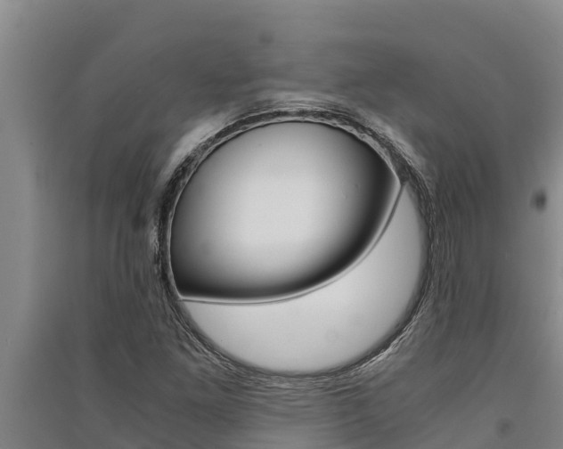 X0000091521261200708171002