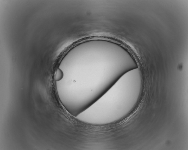 X0000091521263200708171002