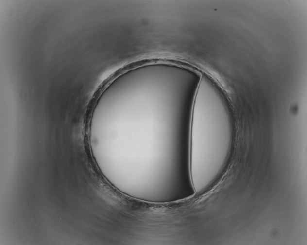 X0000091521264200708171002