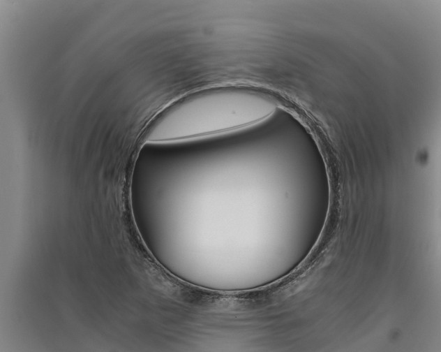 X0000091521265200708171002