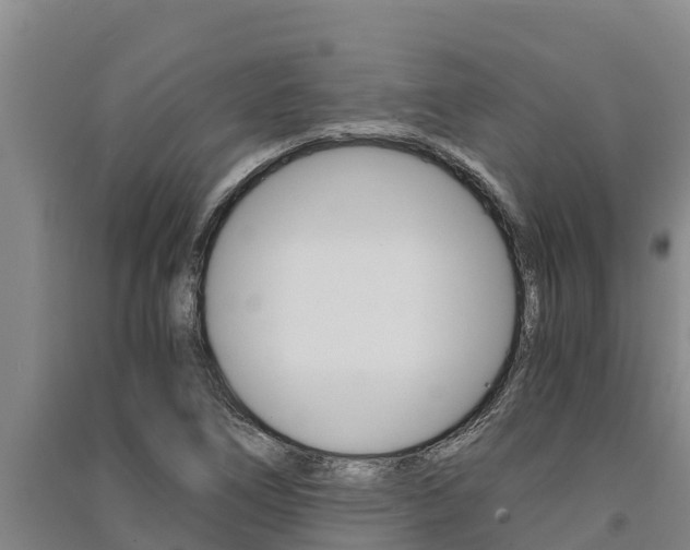 X0000091521266200708171002