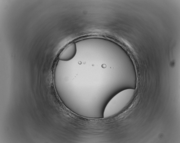 X0000091521267200708171002