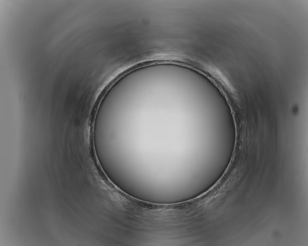 X0000091521268200708171002