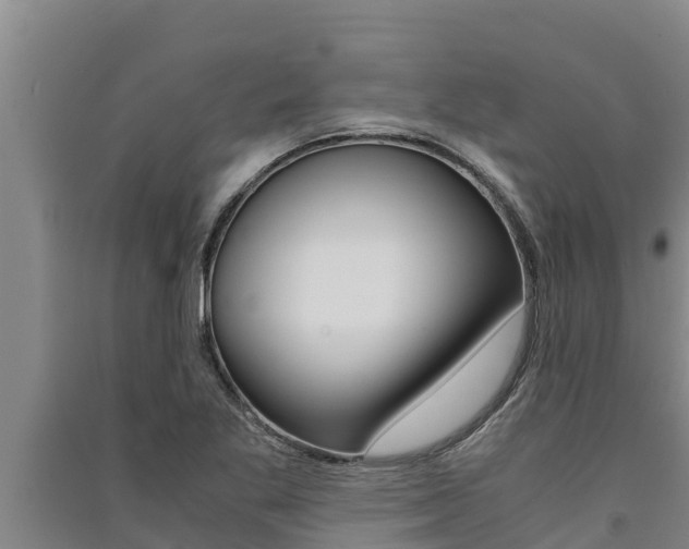 X0000091521269200708171002