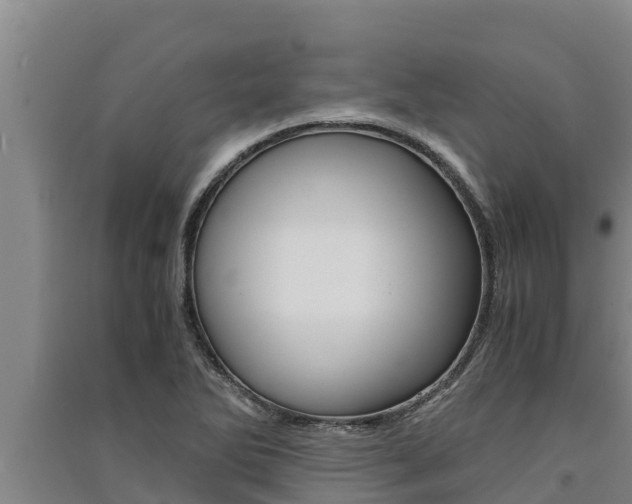 X0000091521270200708171002