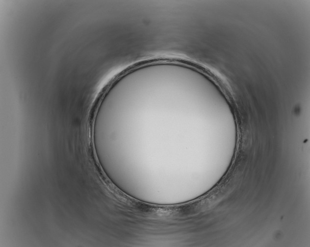 X0000091521271200708171002