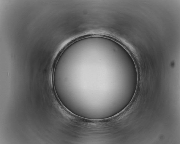 X0000091521272200708171002