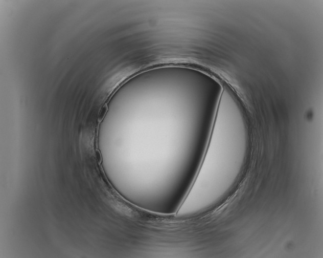 X0000091521273200708171002