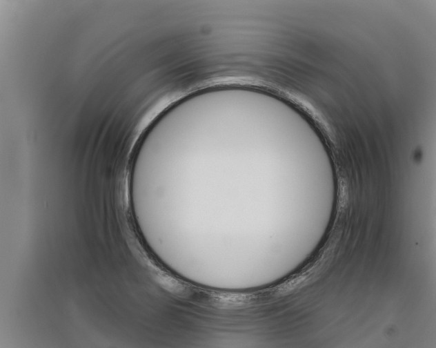 X0000091521274200708171002