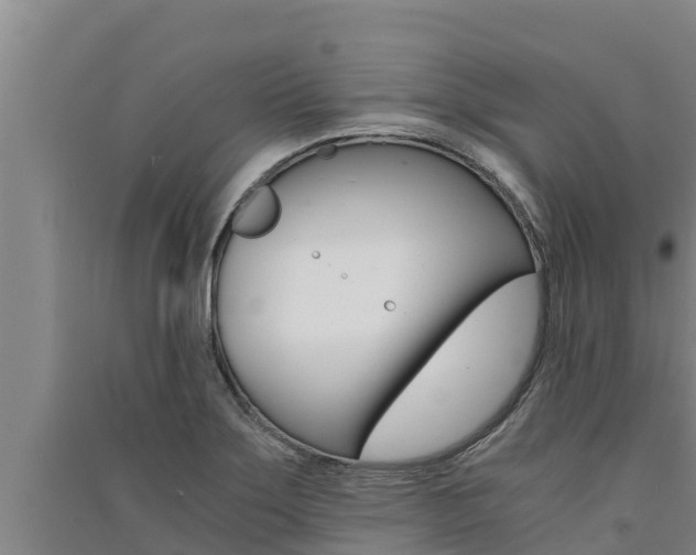 X0000091521275200708171002