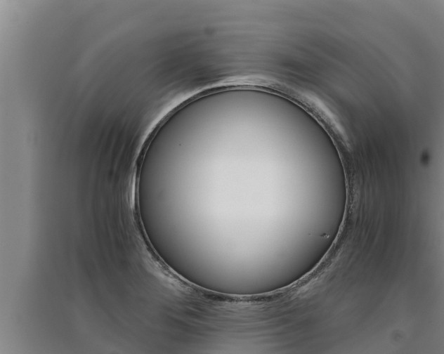 X0000091521276200708171002