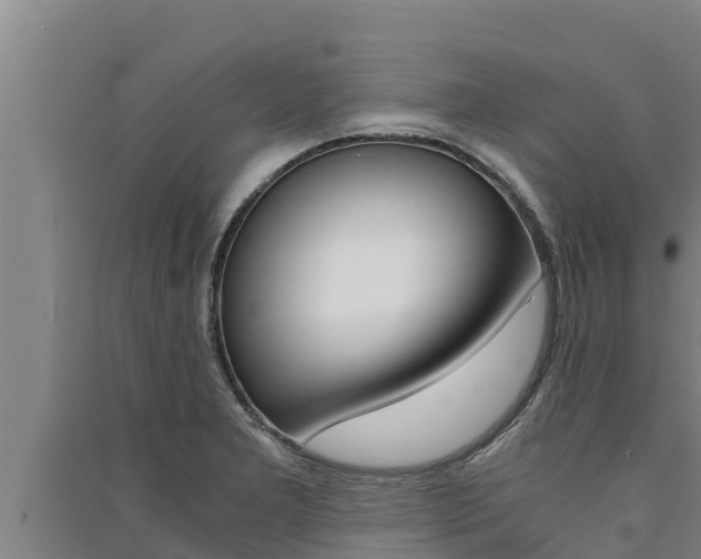 X0000091521277200708171002