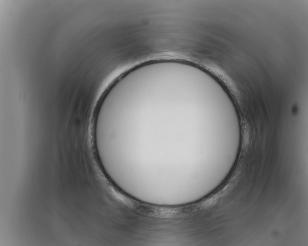 X0000091521278200708171002