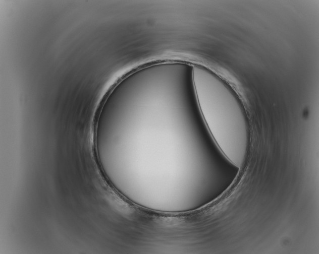 X0000091521280200708171002