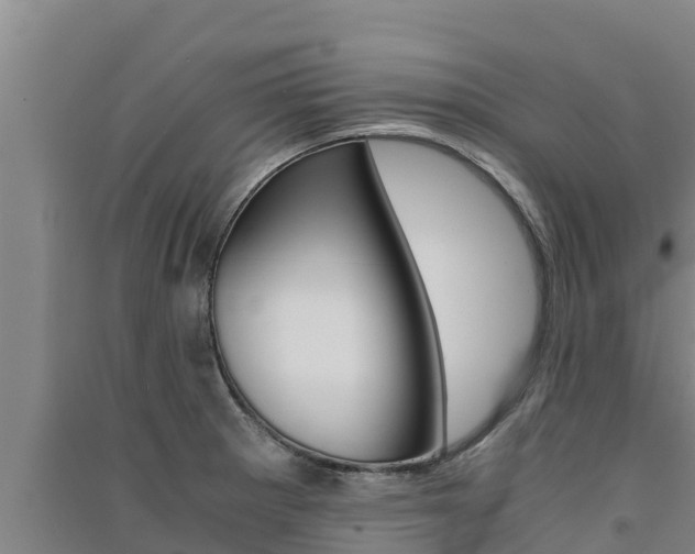 X0000091521281200708171002
