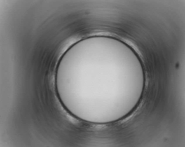 X0000091521282200708171002