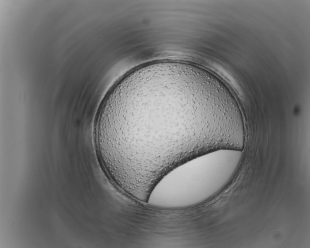 X0000091521283200708171002