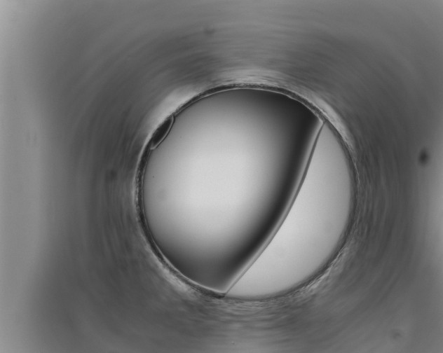 X0000091521285200708171002