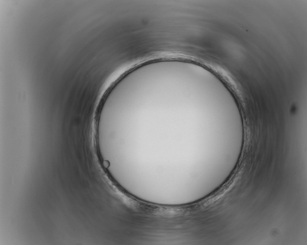 X0000091521286200708171002