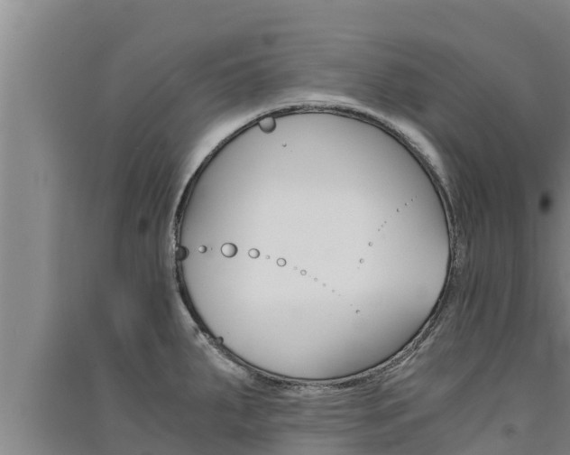 X0000091521287200708171002
