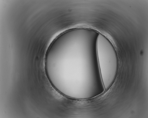 X0000091521288200708171002