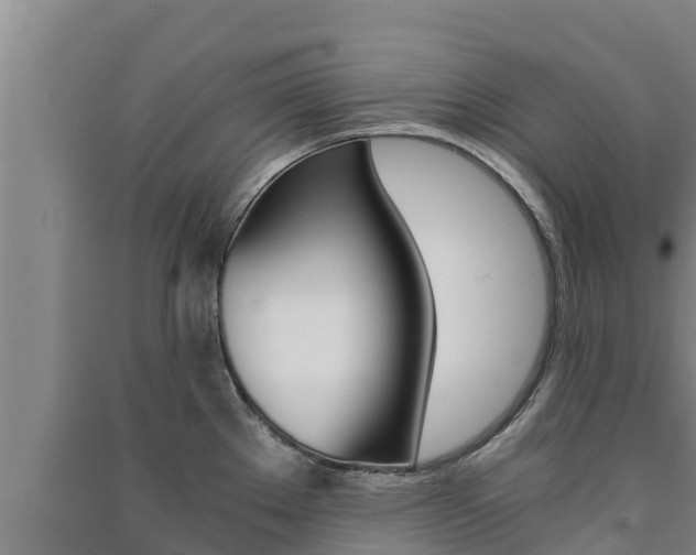 X0000091521289200708171002