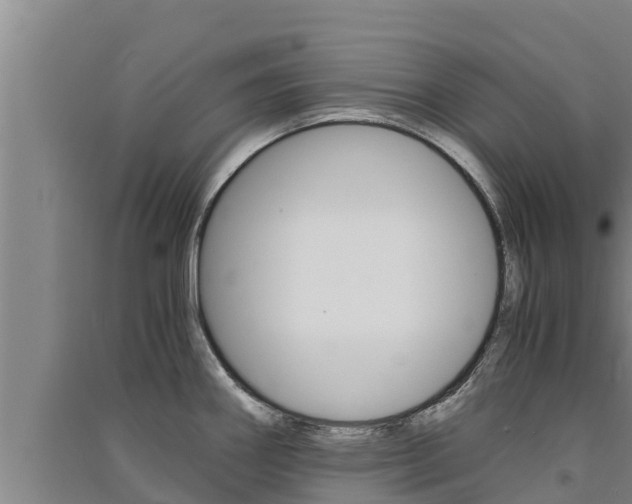 X0000091521290200708171002