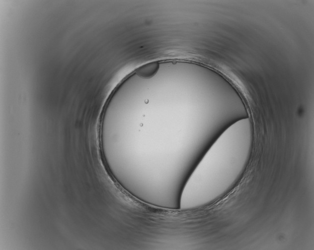 X0000091521291200708171002