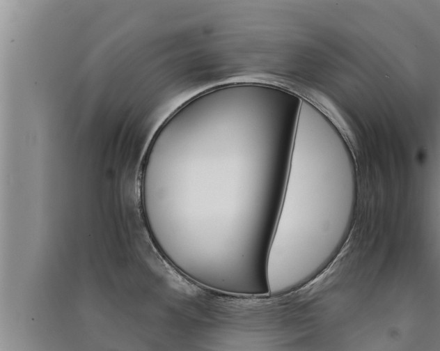 X0000091521292200708171002