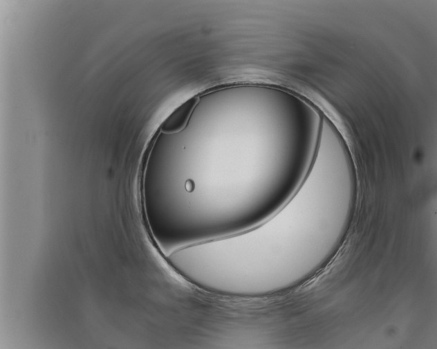 X0000091521293200708171002